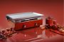 Gasgrill Plancha Aktion Pizza